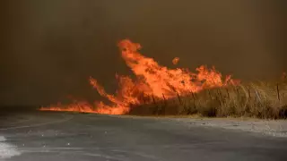 Las zonas aledañas han sido desalojadas y se declaró estado de emergencia.