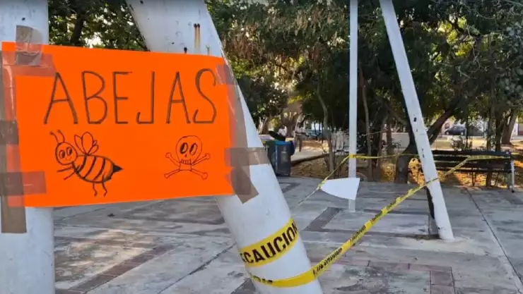 FOTOS_ Enjambre de abejas genera temor en un parque al oriente de Mérida