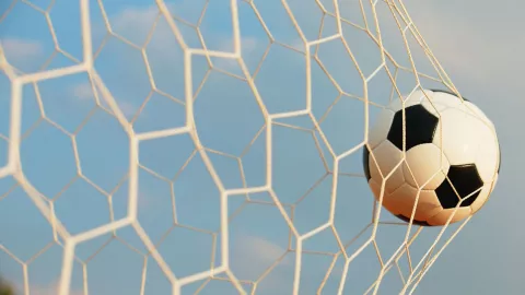 Parido Bravos cancelado.jpg