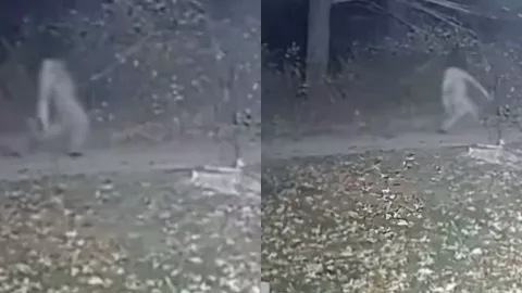 VIDEO Cámara de seguridad capta figura aterradora sin cabeza en medio de la noche; ¿qué es