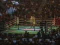 Canelo vs Kovalev
