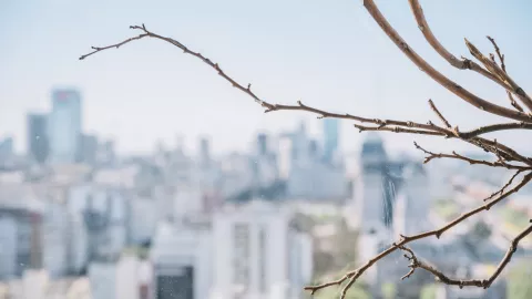 vientos de santa ana tijuana