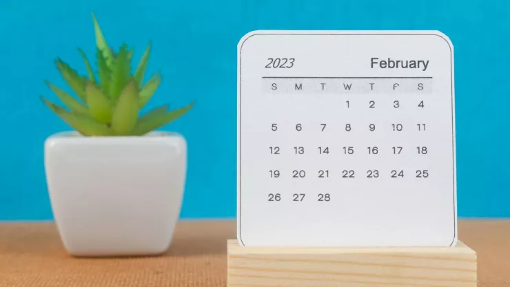 Descanso el 6 de febrero en Mexico