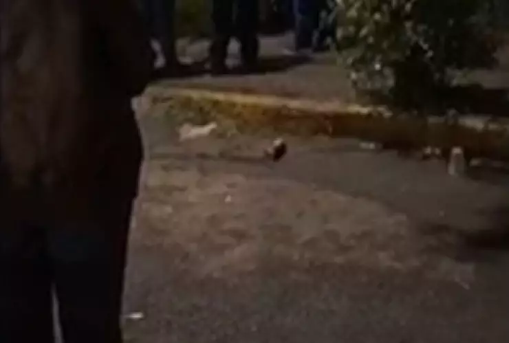 Homicidio Gam detenido 19 años