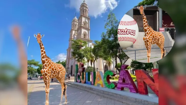 Memes por desaparición de jirafa del zoológico de Culiacán