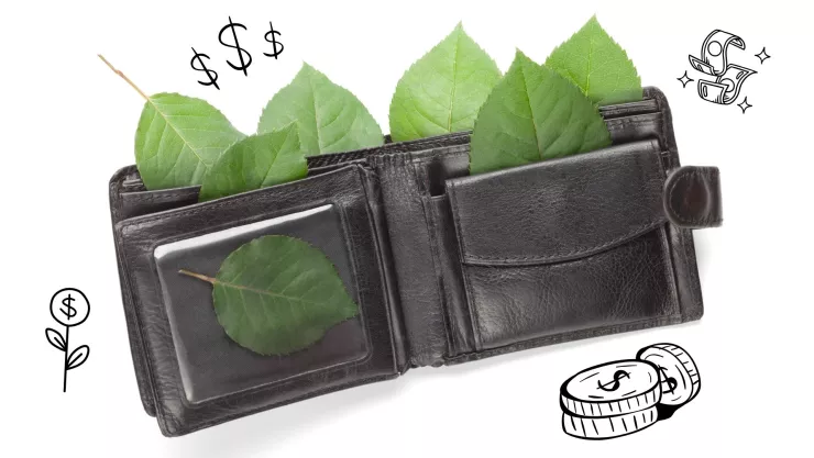 hoja laurel billetera