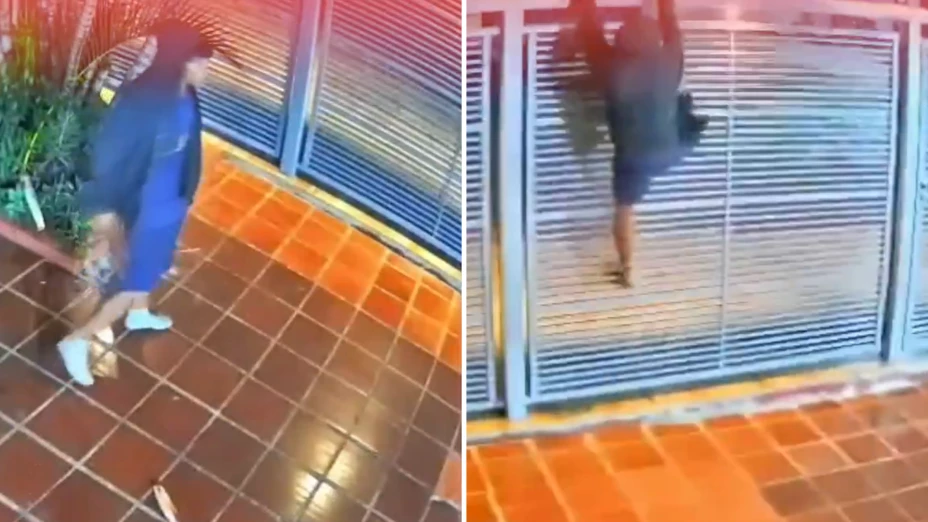 Perro ahuyenta a ladrón.png