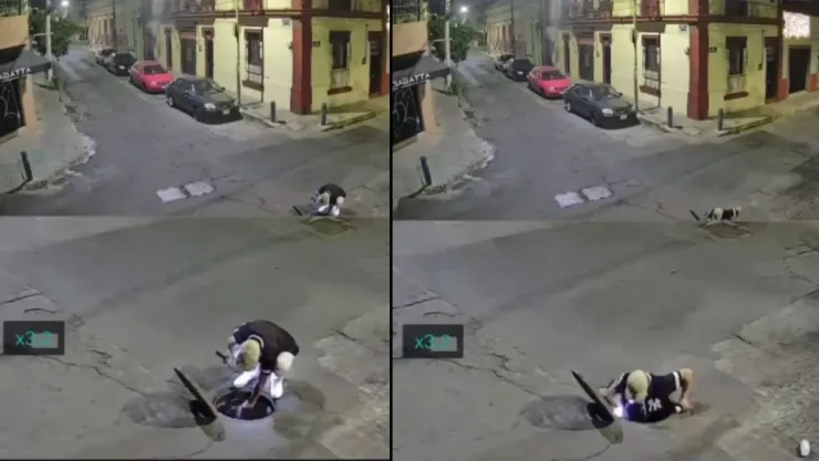 “Las Tortugas Ninja": Así operan para el robo de autopartes en Guadalajara