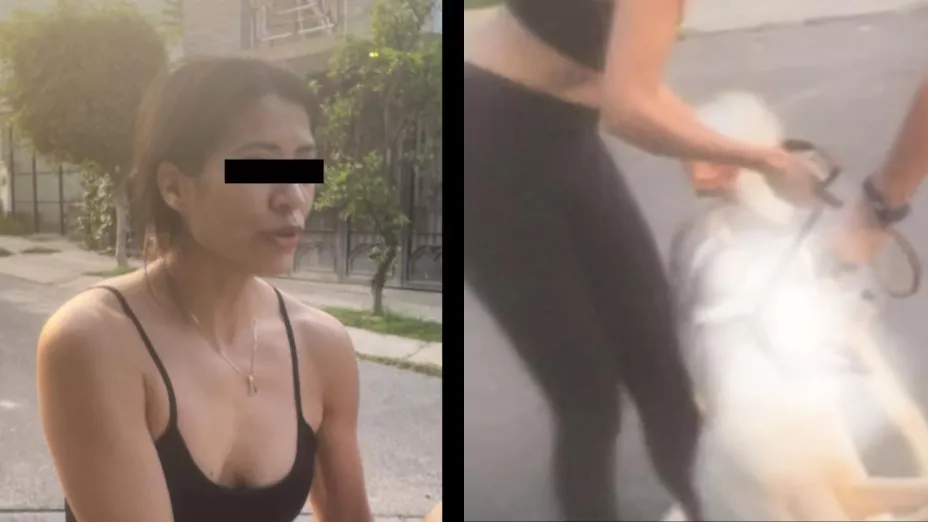 Mujer mata a perro de la calle con su husky en Tonalá