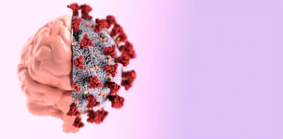 Cderebro y Covid unnamed.jpg