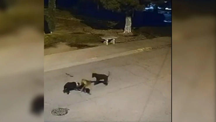 Fraccionamiento Monte Carlo