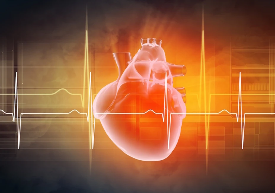 Corazón humano.jpg