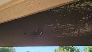 Vandalizan escuela en Bellavista, Culiacán