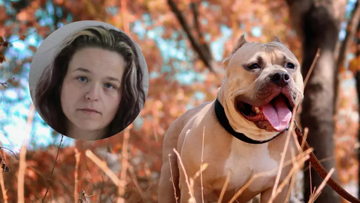 Mujer ata a su hijo de 6 años a un árbol para que un pitbull lo ataque; ¿qué se sabe sobre el caso?