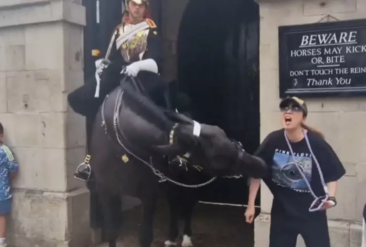 Video-caballo-de-la-Guardia-Real-muerde-a-una-turista-cuando-intentaba-tomarse-una-foto