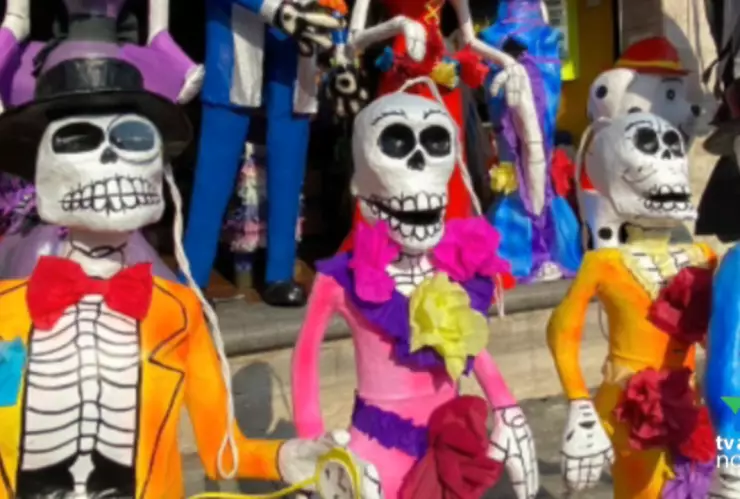 Visita los comercios de Cuernavaca si quieres una