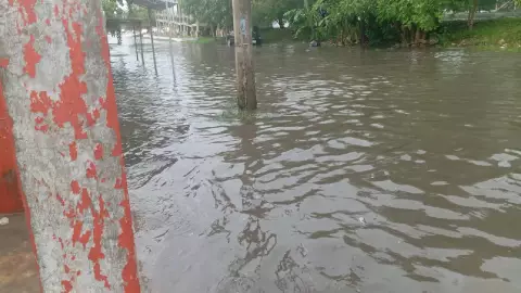 Clima hoy en Yucatán 30 de octubre de 2024_ Revelan hora exacta en la que caerán las lluvias en Mérida hoy