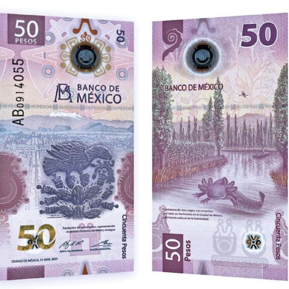 Billete nuevo de 50 pesos familia “G”