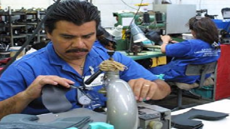 Encuesta OCDE-CONEVAL