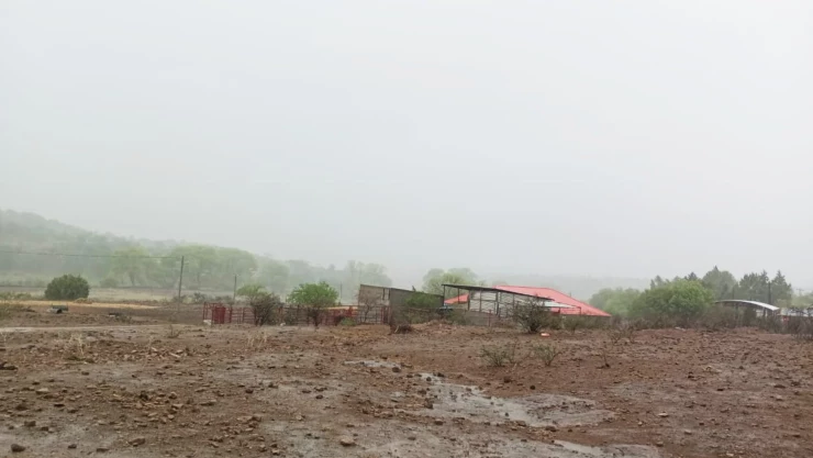 PROTECCION CIVIL CHIHUAHUA.jpg