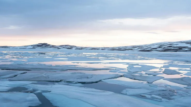 Vórtice Polar