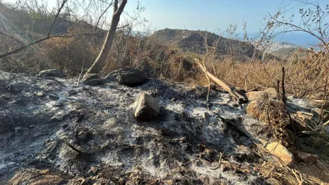 Diseño sin título (6).jpg