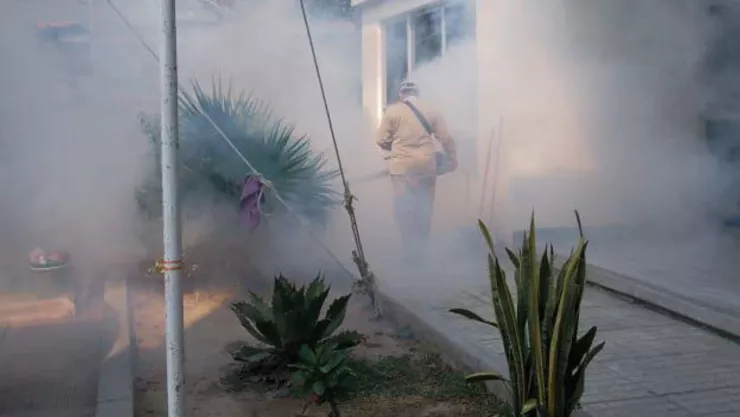 dengue en guerrero