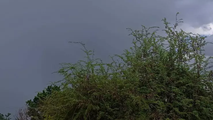 HORA EXACTA en que caerán las LLUVIAS en Mérida hoy martes 25 de junio de 2024