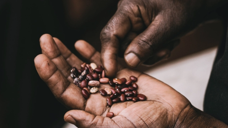 que - beneficios - comer - frijoles - cuales - son - saludables