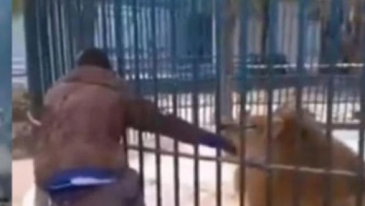 WhatsApp Image 2024-02-13 at 2.22.13 PM.jpeg