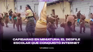 Capibaras en miniatura: el desfile escolar que conquistó internet
