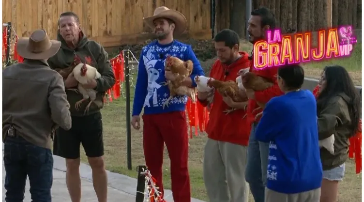 UNO a UNO, granjeros dan emotivo ADIÓS a las gallinas de La Granja VIP.