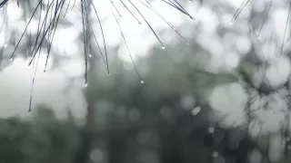 Noche de lluvias en Yahualica; este es el pronóstico del clima hoy 27 de agosto