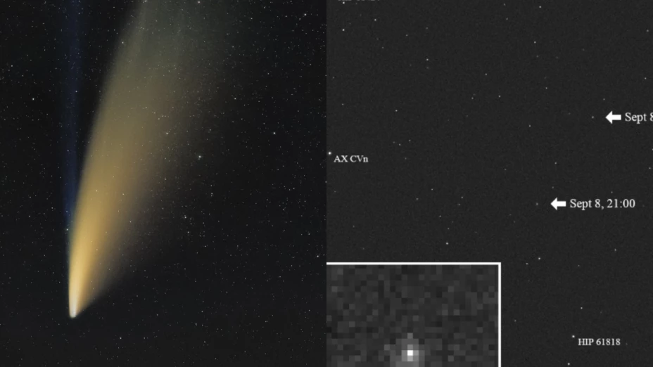 cometa atlas