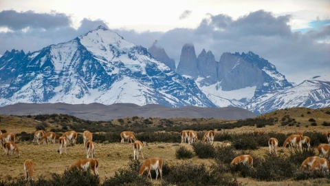 Vista del Parque Nacional Torres del Paine, en Chile.