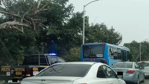 ¡Fuerte accidente! Va y Ven atropella a una persona en la Avenida Internacional de Mérida