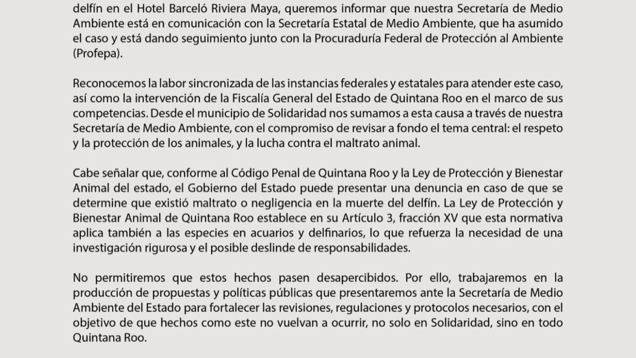 La presidenta municipal, Estefanía Mercado, emite comunicado ante el caso de la muerte de delfines en la Riviera Maya.