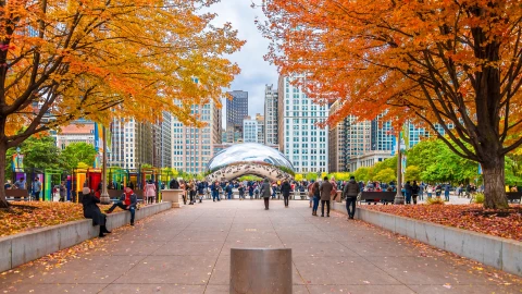 Parque de Chicago en pleno otoño