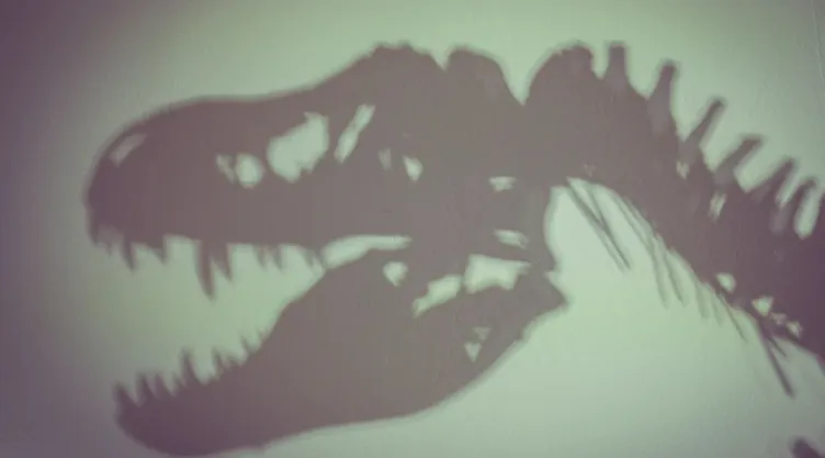 Sombra del esqueleto de un dinosaurio