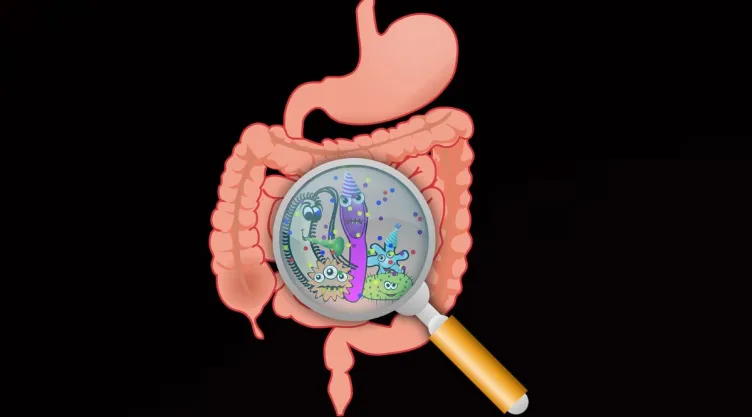 /estilo-de-vida/como-saber-si-tengo-parasitos-intestinales
