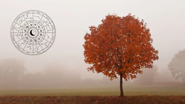 Así afectará el equinoccio de otoño a su signo