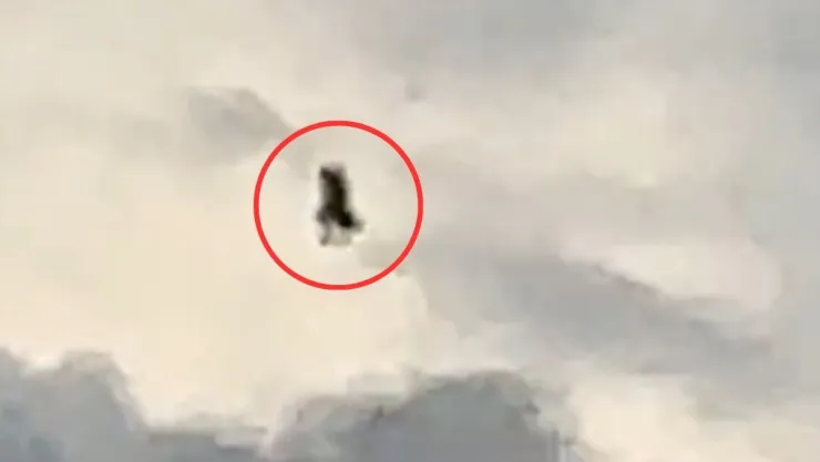 Extraña criatura volando en Francia.jpg