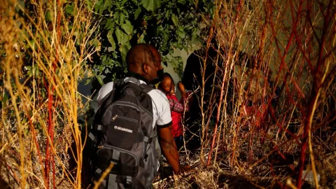 mpp oleada migrantes eu