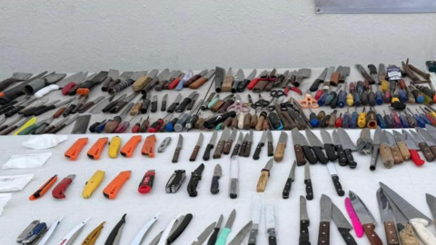 penal de Aguaruto, Sinaloa