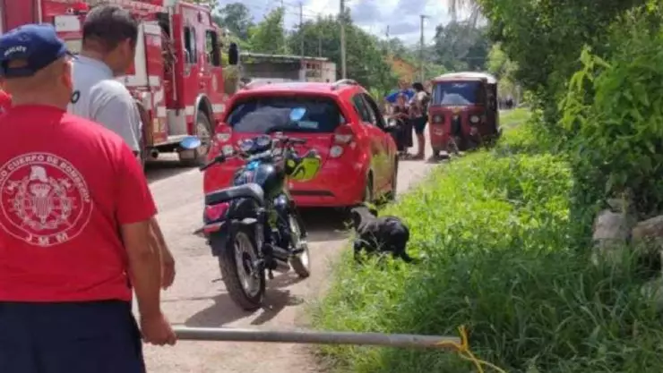 Hombre ataca con machete a perrito en José María Morelos.jpg