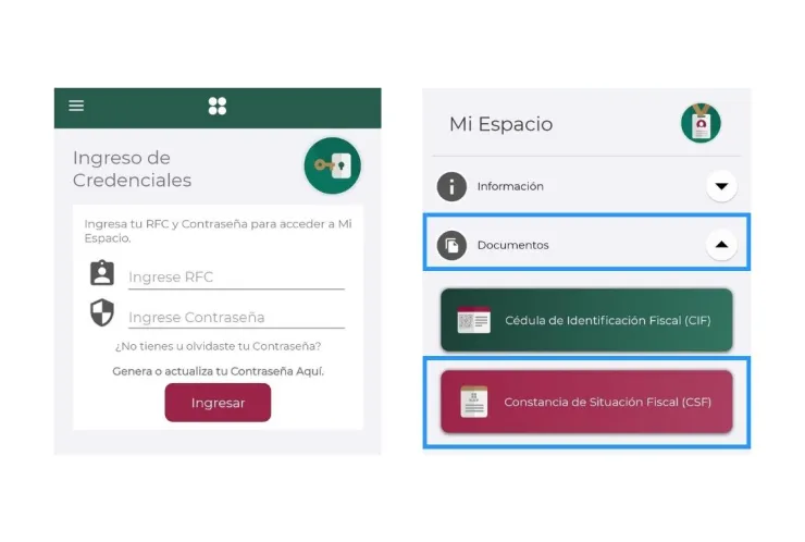 Constancia de Situación Fiscal SAT