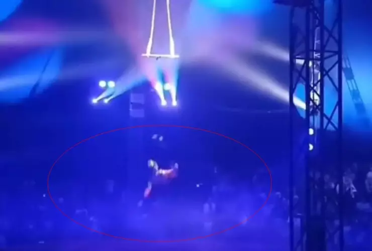 VIDEO Trapecista cae varios metros en plena función de circo