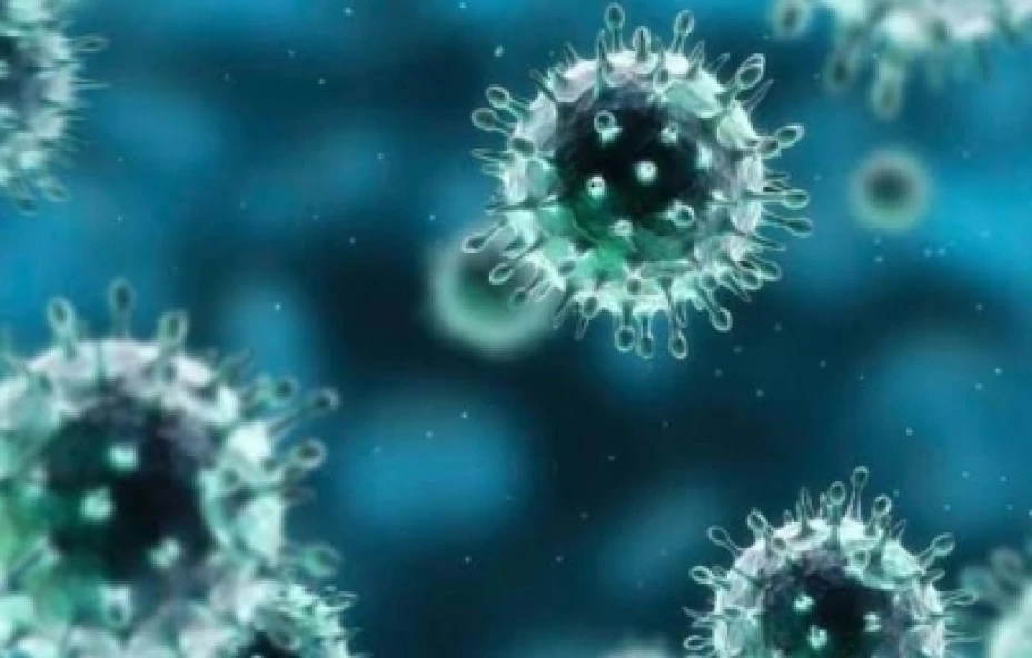 Coronavirus
