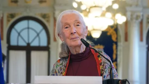 Jane Goodall muere