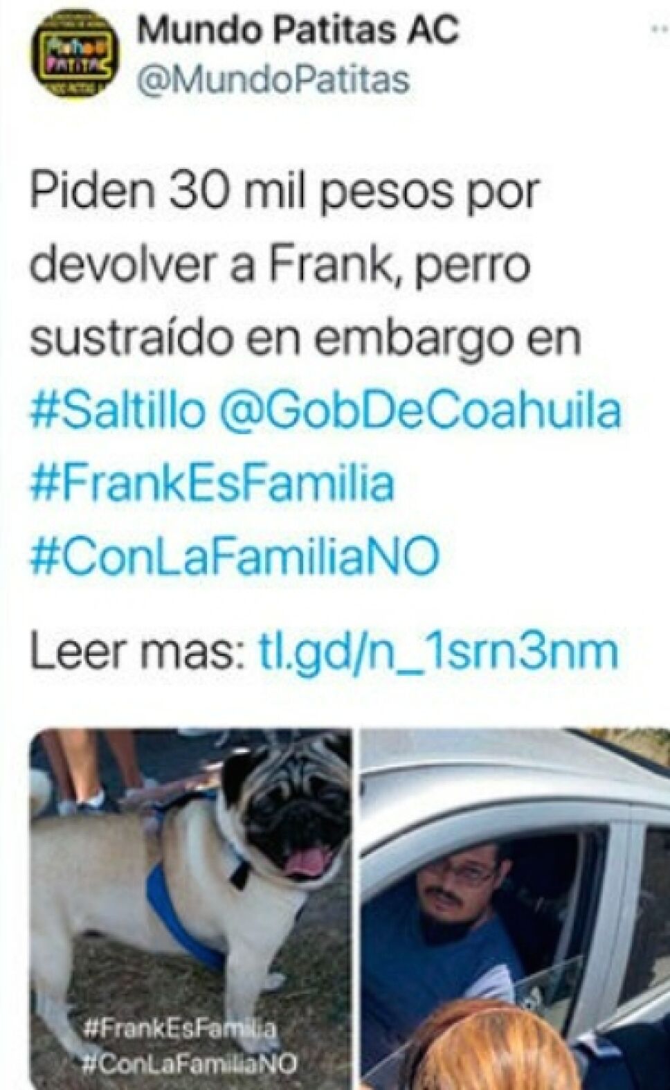 perro-embargo-coahuila.jpg